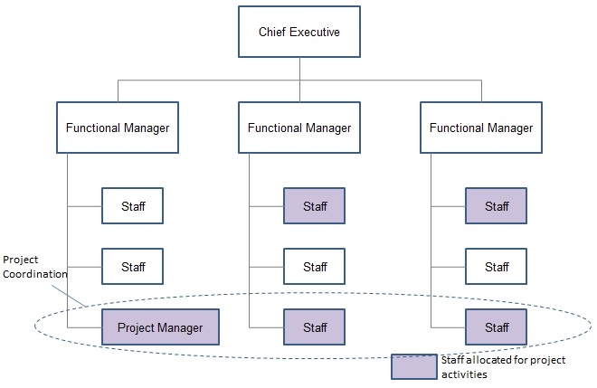 Balanced Matrix Project Organization