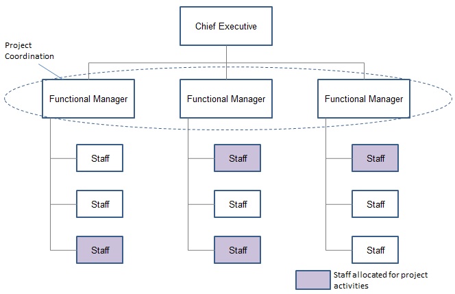 Functional Project Organization