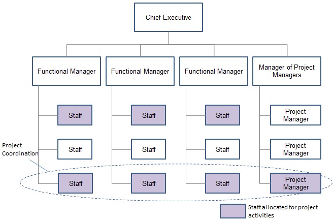 Strong Matrix Project Organization